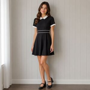 Wednesday Addams Goth Black & White Collared Skater Swing Dress Small